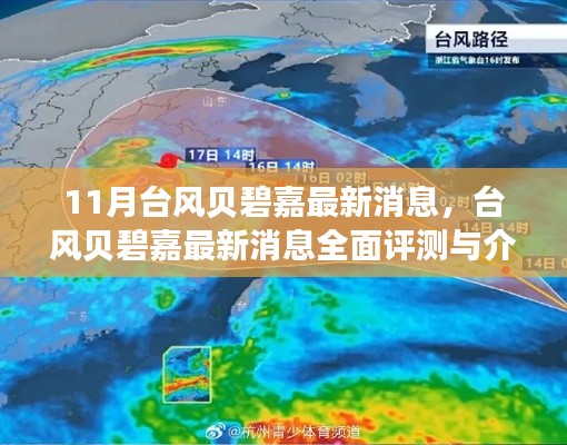 产品中心 第796页