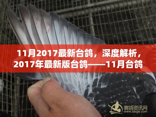 产品中心 第794页