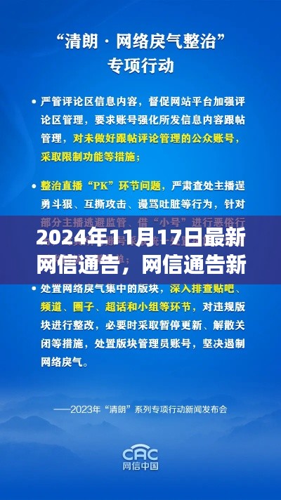 网信通告新纪元，解读网络生态重塑与未来趋势（2024年11月17日最新通告）