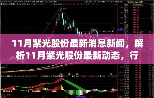 揭秘11月紫光股份最新动态与行业热议背后的观点