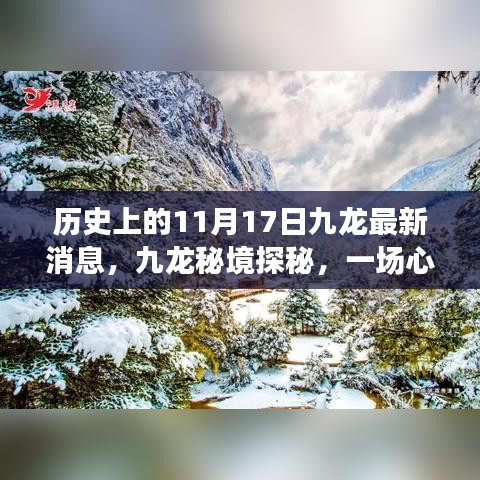 九龙秘境探秘之旅，心灵与自然共舞的美好纪念日（最新消息）