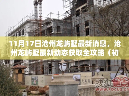沧州龙屿墅最新动态揭秘，获取全攻略，初学者与进阶用户必看！