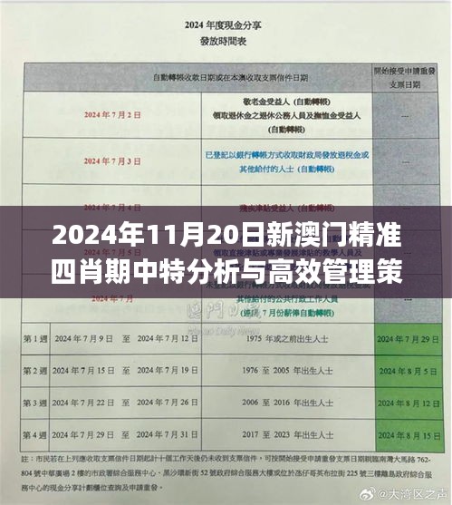 2024年11月20日新澳门精准四肖期中特分析与高效管理策略发布_WUK5.68.90官方版