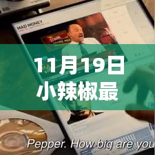 揭秘小辣椒科技新品，深度解析小辣椒最新款手机