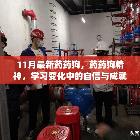 11月药狗精神，自信成长，共同学习，一起成长之路