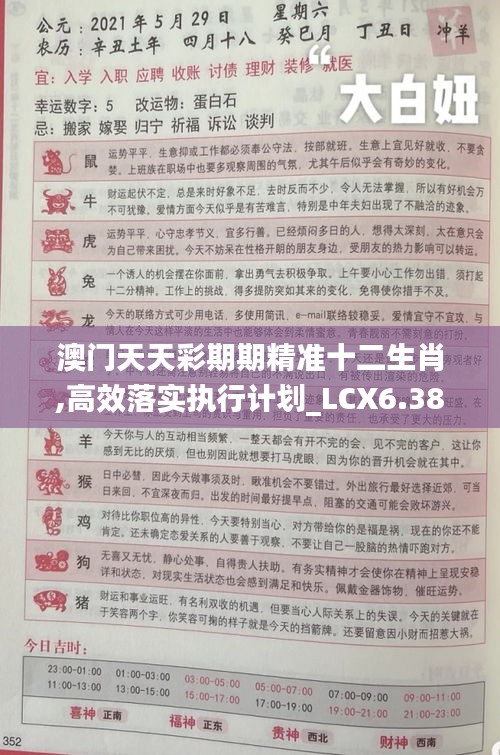 澳门天天彩期期精准十二生肖,高效落实执行计划_LCX6.38.53儿童版