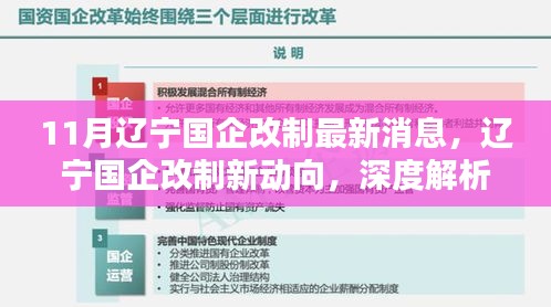 辽宁国企改制最新动态，深度解析与观点阐述
