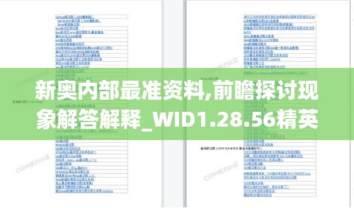 新奥内部最准资料,前瞻探讨现象解答解释_WID1.28.56精英版