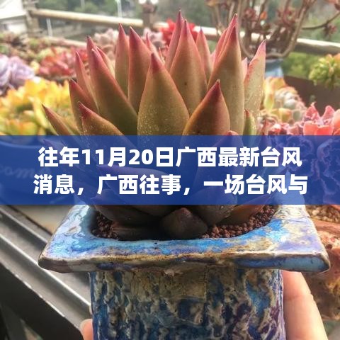 商务合作 第832页
