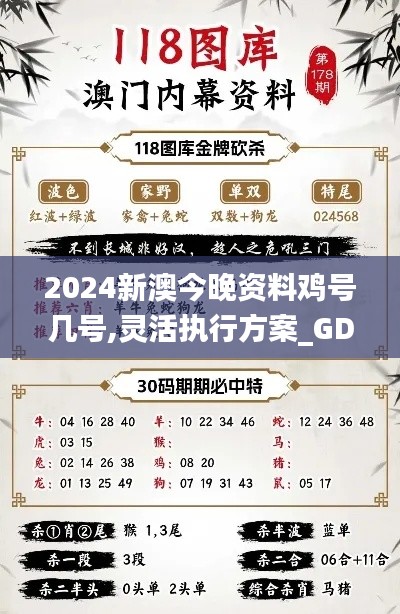2024新澳今晚资料鸡号几号,灵活执行方案_GDL8.43.25影像版