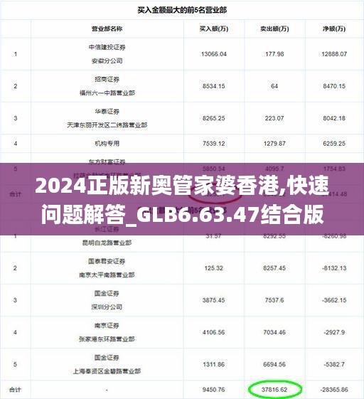 2024正版新奥管家婆香港,快速问题解答_GLB6.63.47结合版