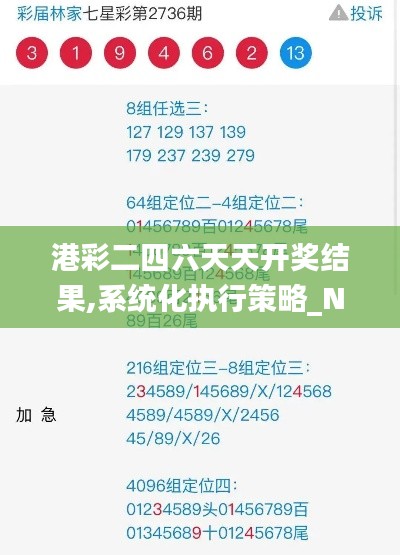 港彩二四六天天开奖结果,系统化执行策略_NFM7.60.35高级版