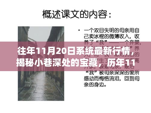 历年11月20日系统最新行情揭秘，小巷深处的宝藏与独特小店的故事