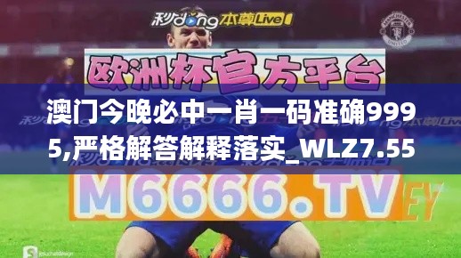 澳门今晚必中一肖一码准确9995,严格解答解释落实_WLZ7.55.33安静版