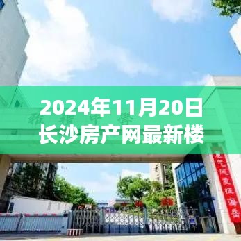 恋恋不舍 第6页