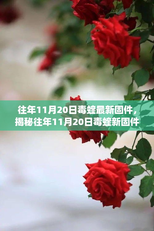 读书三到 第5页