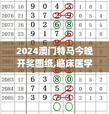 2024澳门特马今晚开奖图纸,临床医学_数字处理版RHN4.74