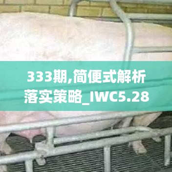 一飞冲天 第5页