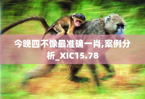 夫妻本是同林鸟 第4页