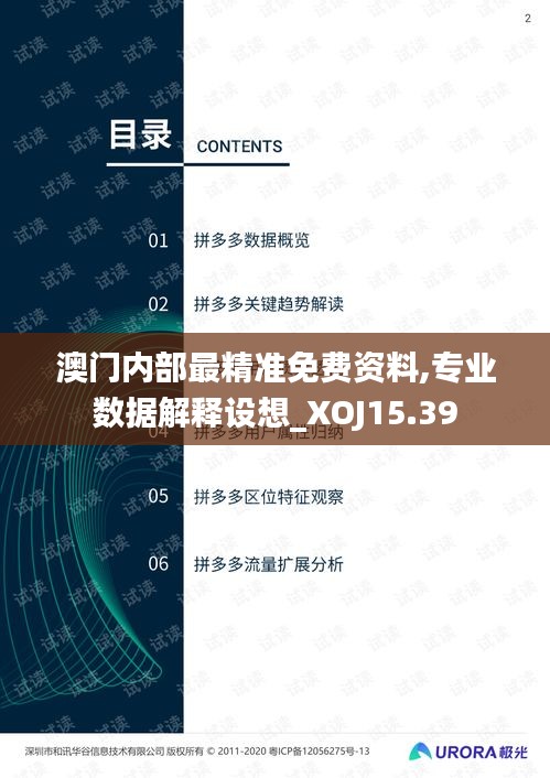 澳门内部最精准免费资料,专业数据解释设想_XOJ15.39