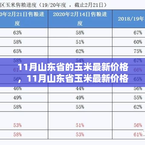 空前绝后 第5页