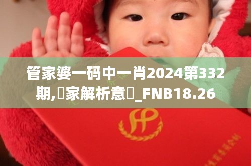管家婆一码中一肖2024第332期,專家解析意見_FNB18.26