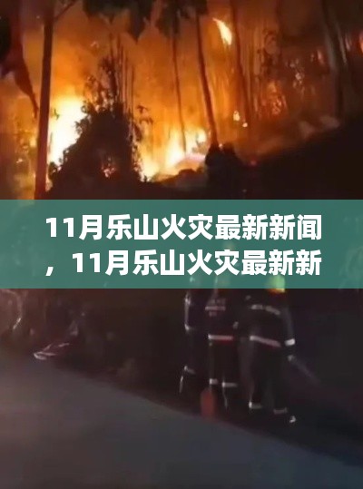 11月乐山火灾最新消息，现场直击与深度解析