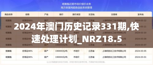 2024年澳门历史记录331期,快速处理计划_NRZ18.5