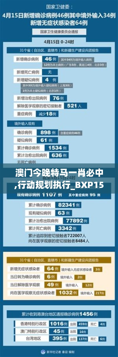 澳门今晚特马一肖必中,行动规划执行_BXP15.46