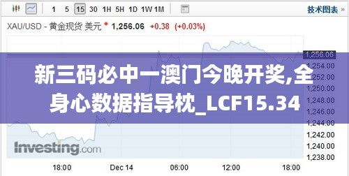 新三码必中一澳门今晚开奖,全身心数据指导枕_LCF15.34