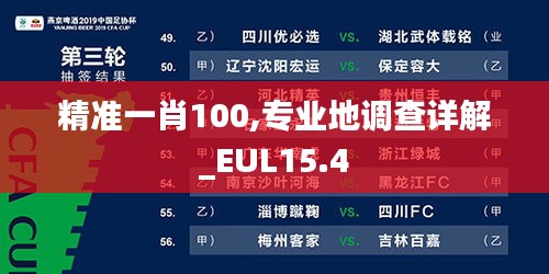 精准一肖100,专业地调查详解_EUL15.4