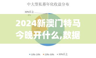 2024新澳门特马今晚开什么,数据化决策分析_XHL15.82