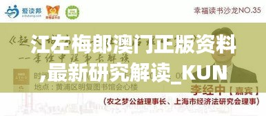 江左梅郎澳门正版资料,最新研究解读_KUN15.61