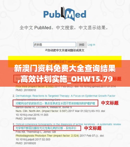 新澳门资料免费大全查询结果,高效计划实施_OHW15.79
