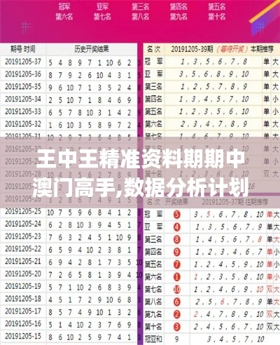 王中王精准资料期期中澳门高手,数据分析计划_WWA15.33