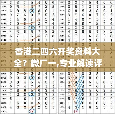 香港二四六开奖资料大全？微厂一,专业解读评估_XBY15.22