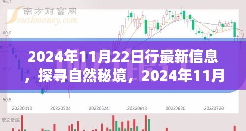 探寻自然秘境，启程于2024年11月22日的奇妙旅程，寻找内心的宁静与平和