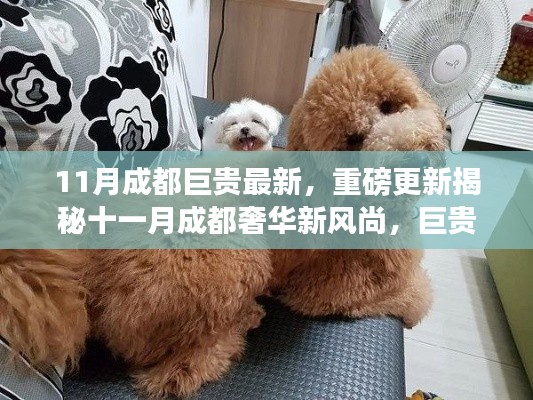 鸟惊鱼骇 第5页