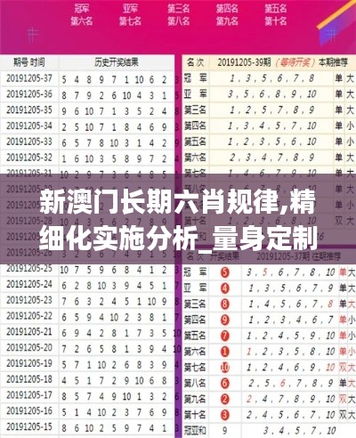 新澳门长期六肖规律,精细化实施分析_量身定制版CVN1.23