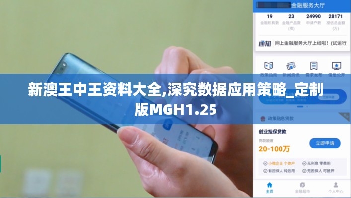 新澳王中王资料大全,深究数据应用策略_定制版MGH1.25
