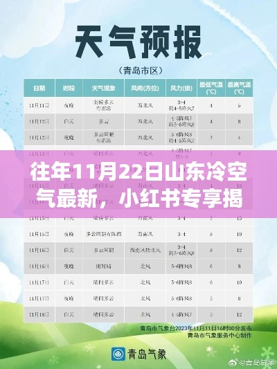 揭秘往年11月22日山东冷空气最新动态，小红书寒风防护指南