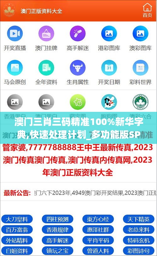 澳门三肖三码精准100%新华字典,快速处理计划_多功能版SPG1.76