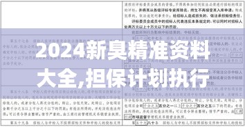 2024新臭精准资料大全,担保计划执行法策略_习惯版ZOX1.51
