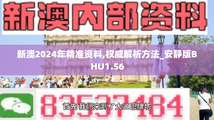 新澳2024年精准资料,权威解析方法_安静版BHU1.56
