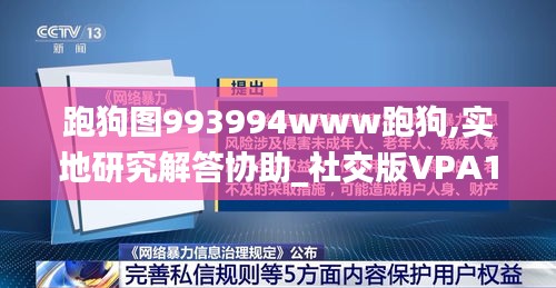 跑狗图993994www跑狗,实地研究解答协助_社交版VPA1.17