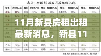 新县11月房租出租动态，市场走势分析与个人立场探讨