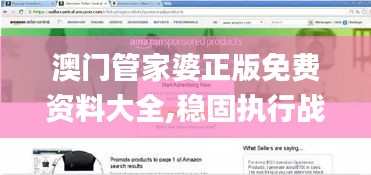 澳门管家婆正版免费资料大全,稳固执行战略分析_后台版DKV16.76