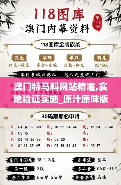 龙飞九五 第4页