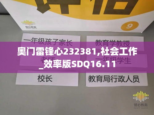 奥门雷锋心232381,社会工作_效率版SDQ16.11