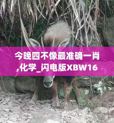 今晚四不像最准确一肖,化学_闪电版XBW16.70